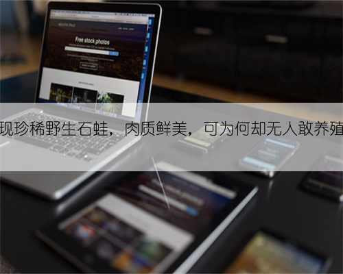 重庆出现珍稀野生石蛙，肉质鲜美，可为何却无人敢养殖它呢？