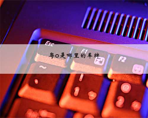 粤o是哪里的车牌