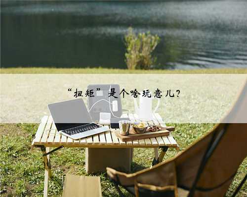 “扭矩”是个啥玩意儿？