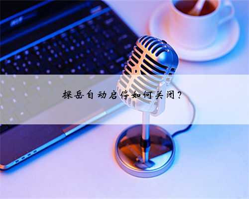 探岳自动启停如何关闭？