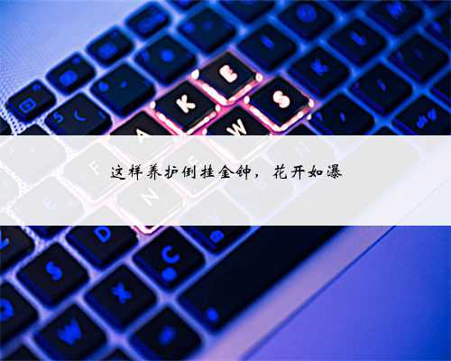 这样养护倒挂金钟,花开如瀑