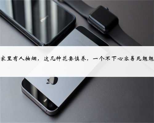家里有人抽烟,这几种花要慎养,一个不下心容易死翘翘
