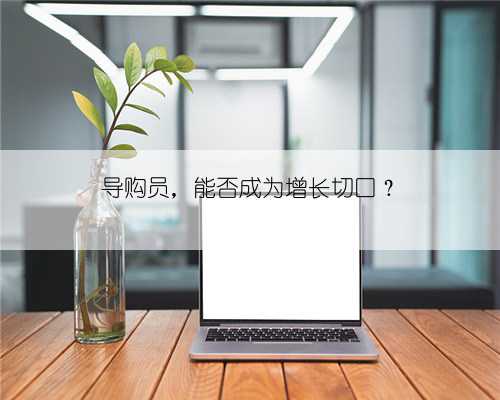 导购员，能否成为增长切口？