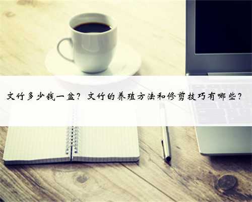 文竹多少钱一盆?文竹的养殖方法和修剪技巧有哪些?