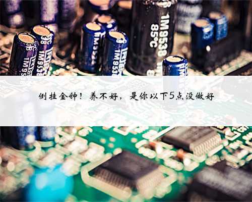 倒挂金钟!养不好,是你以下5点没做好