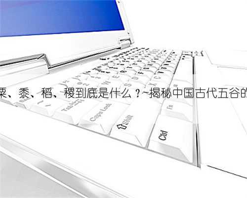 菽、粟、黍、稻、稷到底是什么？-揭秘中国古代五谷的奥秘