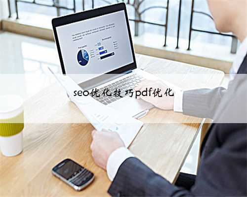 seo优化技巧pdf优化