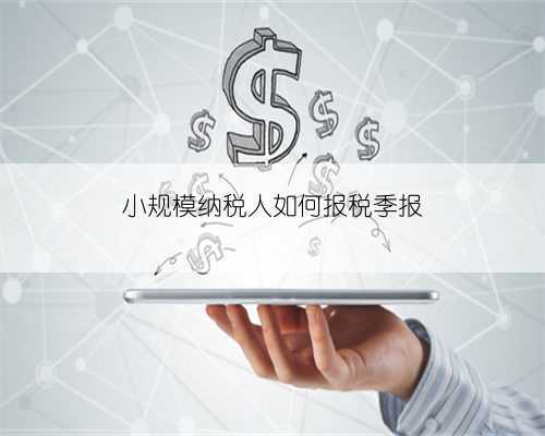 小规模纳税人如何报税季报