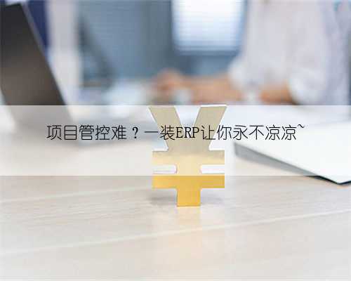 项目管控难？一装ERP让你永不凉凉~