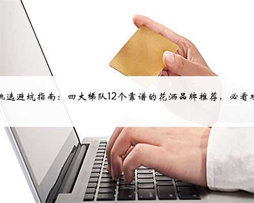 花洒挑选避坑指南:四大梯队12个靠谱的花洒品牌推荐,必看攻略!