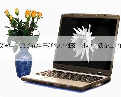 2020双闰年！庚子鼠年共384天 网友：扎心！要多上1个月班