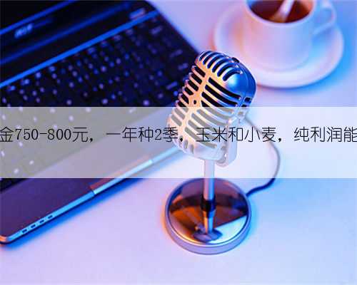 一亩地租金750-800元，一年种2季，玉米和小麦，纯利润能有多少？