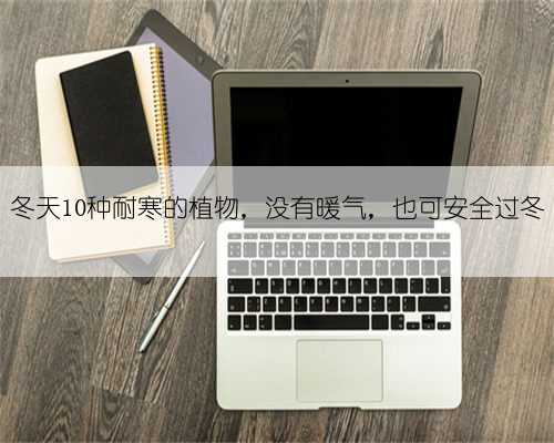 冬天10种耐寒的植物,没有暖气,也可安全过冬