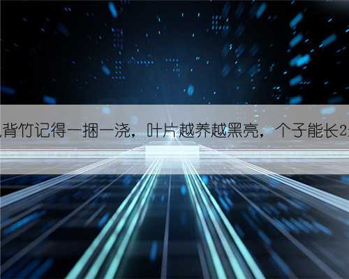 养龟背竹记得一捆一浇，叶片越养越黑亮，个子能长2米高