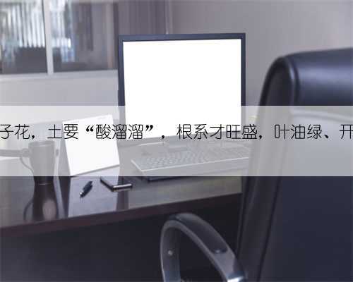 养栀子花,土要“酸溜溜”,根系才旺盛,叶油绿、开花多
