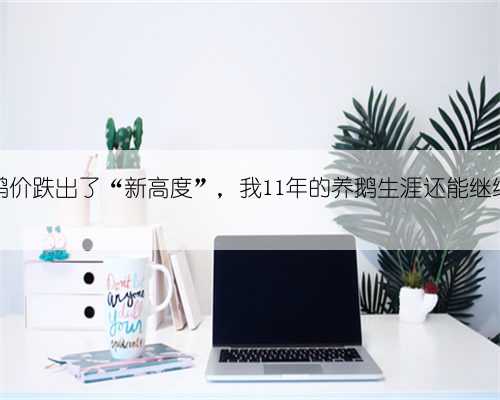 今天鹅价跌出了“新高度”，我11年的养鹅生涯还能继续吗？