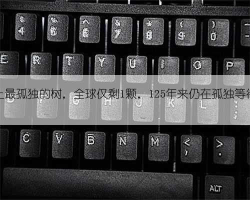 地球上最孤独的树，全球仅剩1颗，125年来仍在孤独等待女友