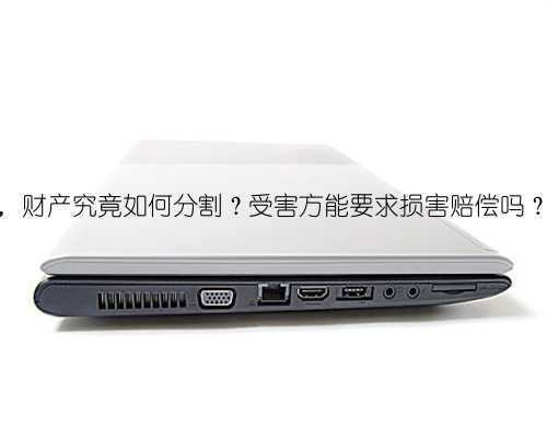 遭遇家暴离婚时,财产究竟如何分割?受害方能要求损害赔偿吗?民法典这样规