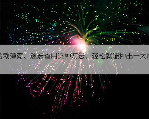 盆栽薄荷、迷迭香用这种方法,轻松就能种出一大片