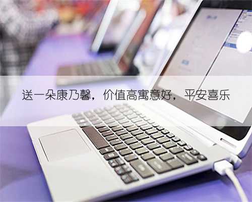 送一朵康乃馨,价值高寓意好,平安喜乐