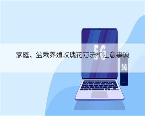 家庭、盆栽养殖玫瑰花方法和注意事项