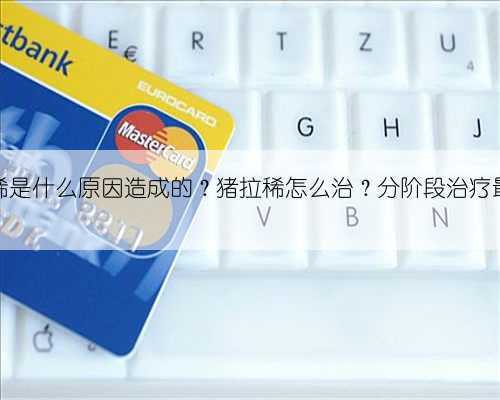 猪拉稀是什么原因造成的?猪拉稀怎么治?分阶段治疗最有效
