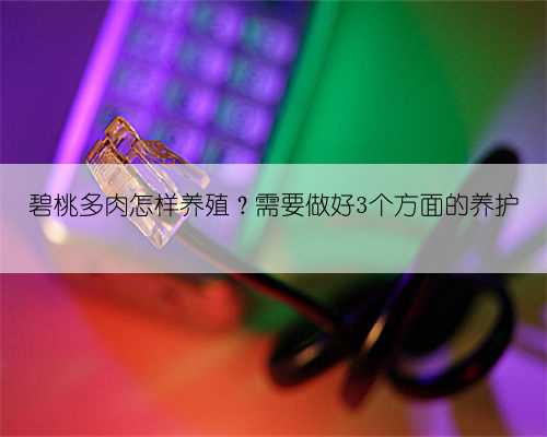 碧桃多肉怎样养殖?需要做好3个方面的养护