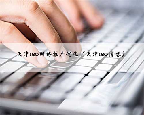 天津seo网络推广优化（天津seo博客）