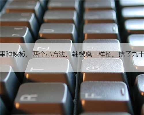 家里种辣椒,两个小方法,辣椒疯一样长,结了九十九