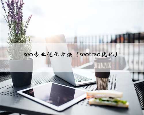 seo专业优化方法（seotrad优化）