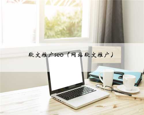 软文推广seo（网站软文推广）
