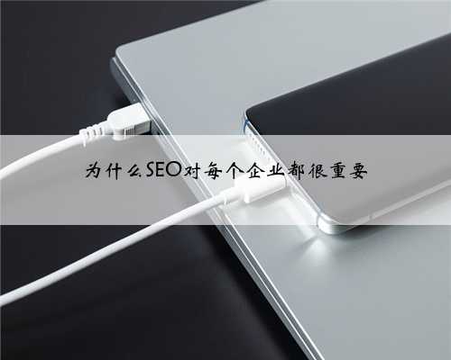 为什么SEO对每个企业都很重要
