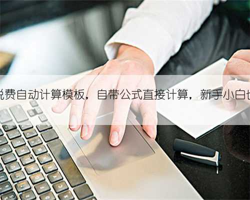 18种税费自动计算模板，自带公式直接计算，新手小白也会用