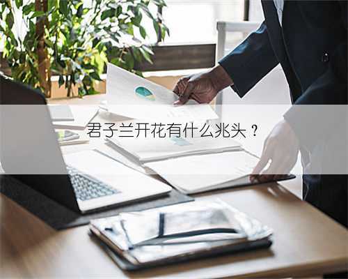 君子兰开花有什么兆头?