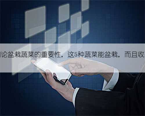 疫情时期论盆栽蔬菜的重要性，这5种蔬菜能盆栽，而且收获周期长