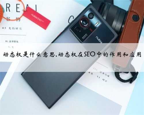 动态权是什么意思,动态权在SEO中的作用和应用