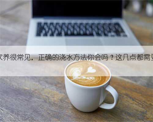 芦荟家养很常见,正确的浇水方法你会吗?这几点都需要注意
