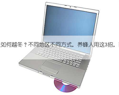 蜜蜂冬天如何越冬?不同地区不同方式,养蜂人用这3招,轻松搞定