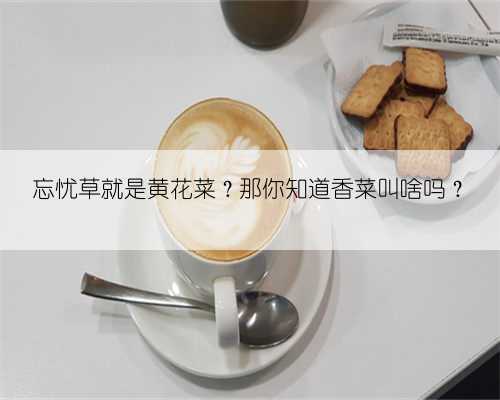 忘忧草就是黄花菜?那你知道香菜叫啥吗?