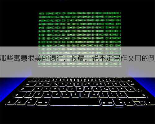那些寓意很美的词汇，收藏，说不定写作文用的到