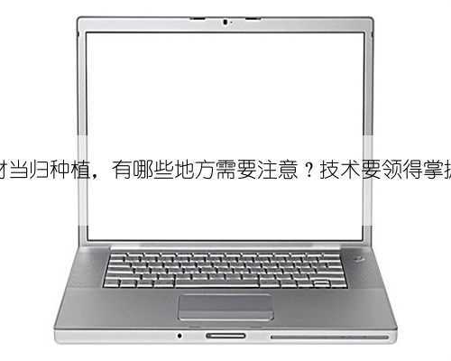 中药材当归种植,有哪些地方需要注意?技术要领得掌握清楚