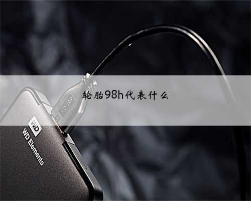 轮胎98h代表什么