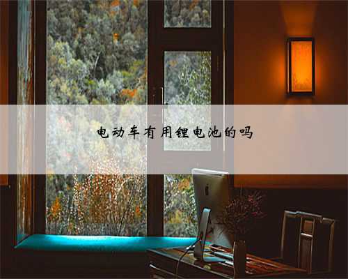 电动车有用锂电池的吗