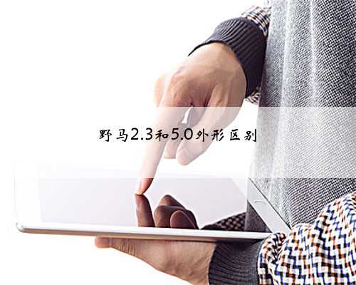 野马2.3和5.0外形区别