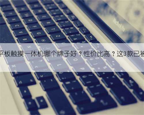 会议平板触摸一体机哪个牌子好？性价比高？这3款已被公认