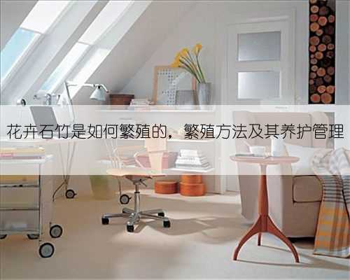 花卉石竹是如何繁殖的,繁殖方法及其养护管理