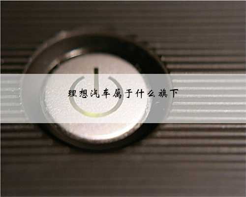 理想汽车属于什么旗下