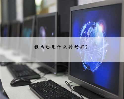雅马哈用什么传动好?
