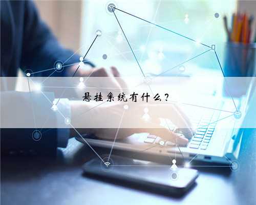 悬挂系统有什么？