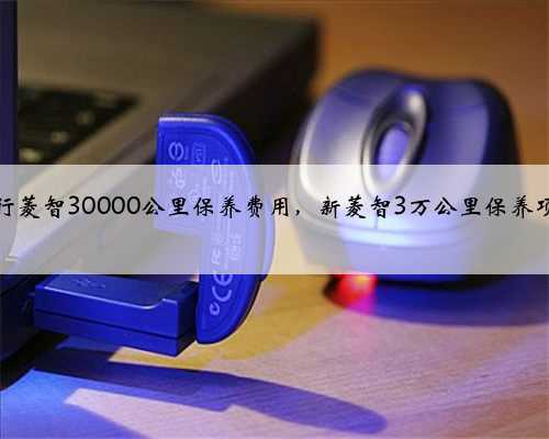 风行菱智30000公里保养费用,新菱智3万公里保养项目